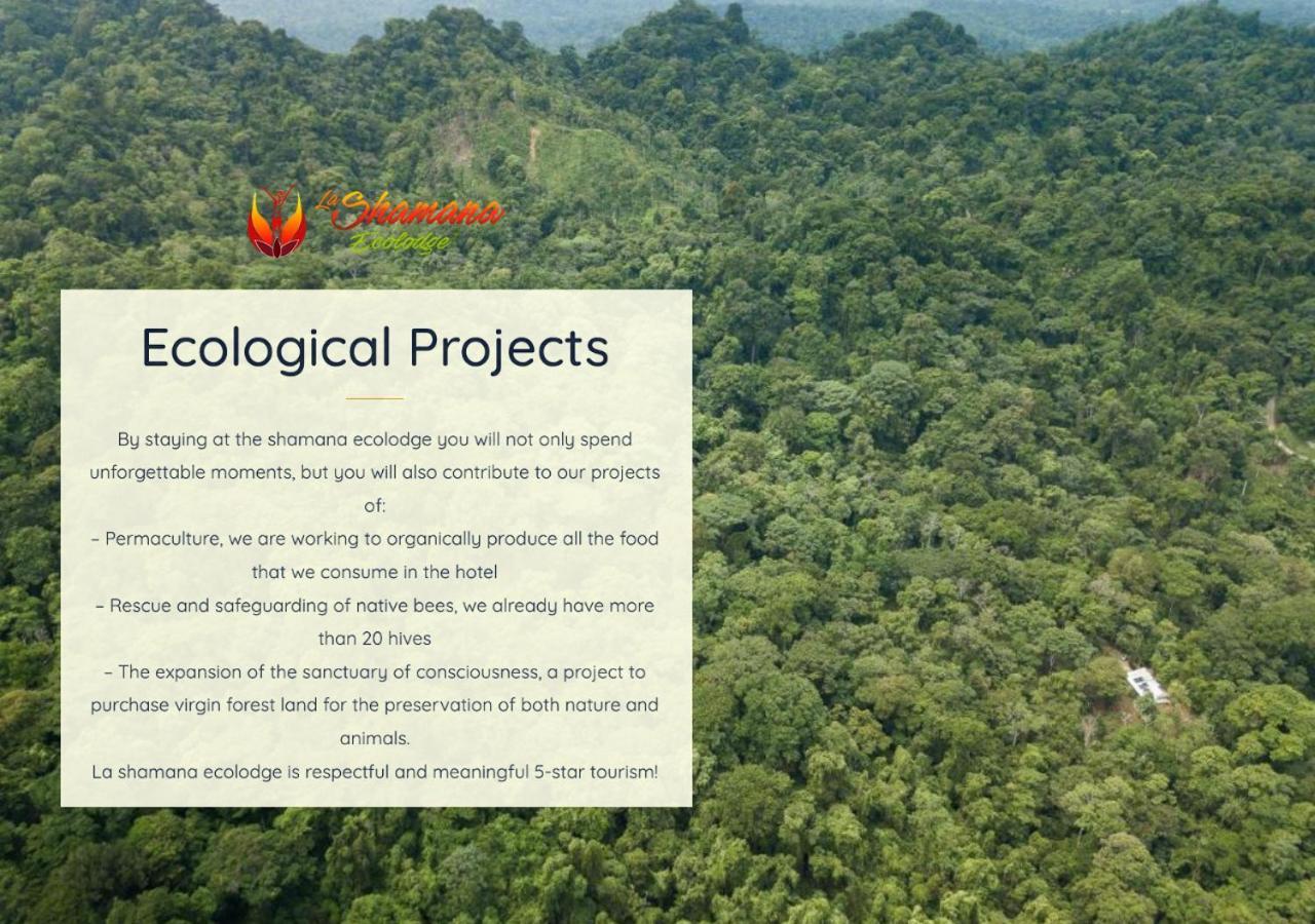 La Shamana - Ecological Concept In Jungle Villa Cahuita Exterior photo