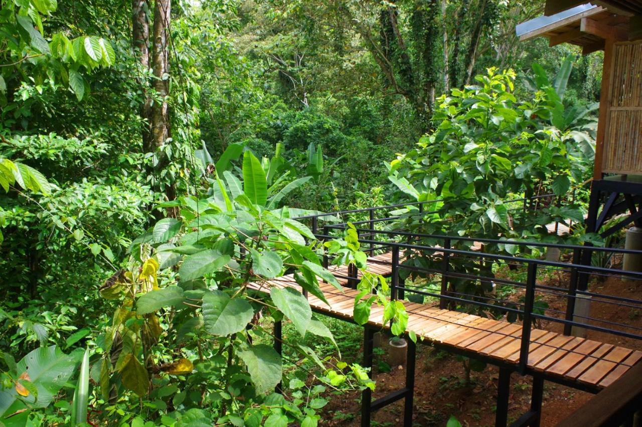 La Shamana - Ecological Concept In Jungle Villa Cahuita Exterior photo