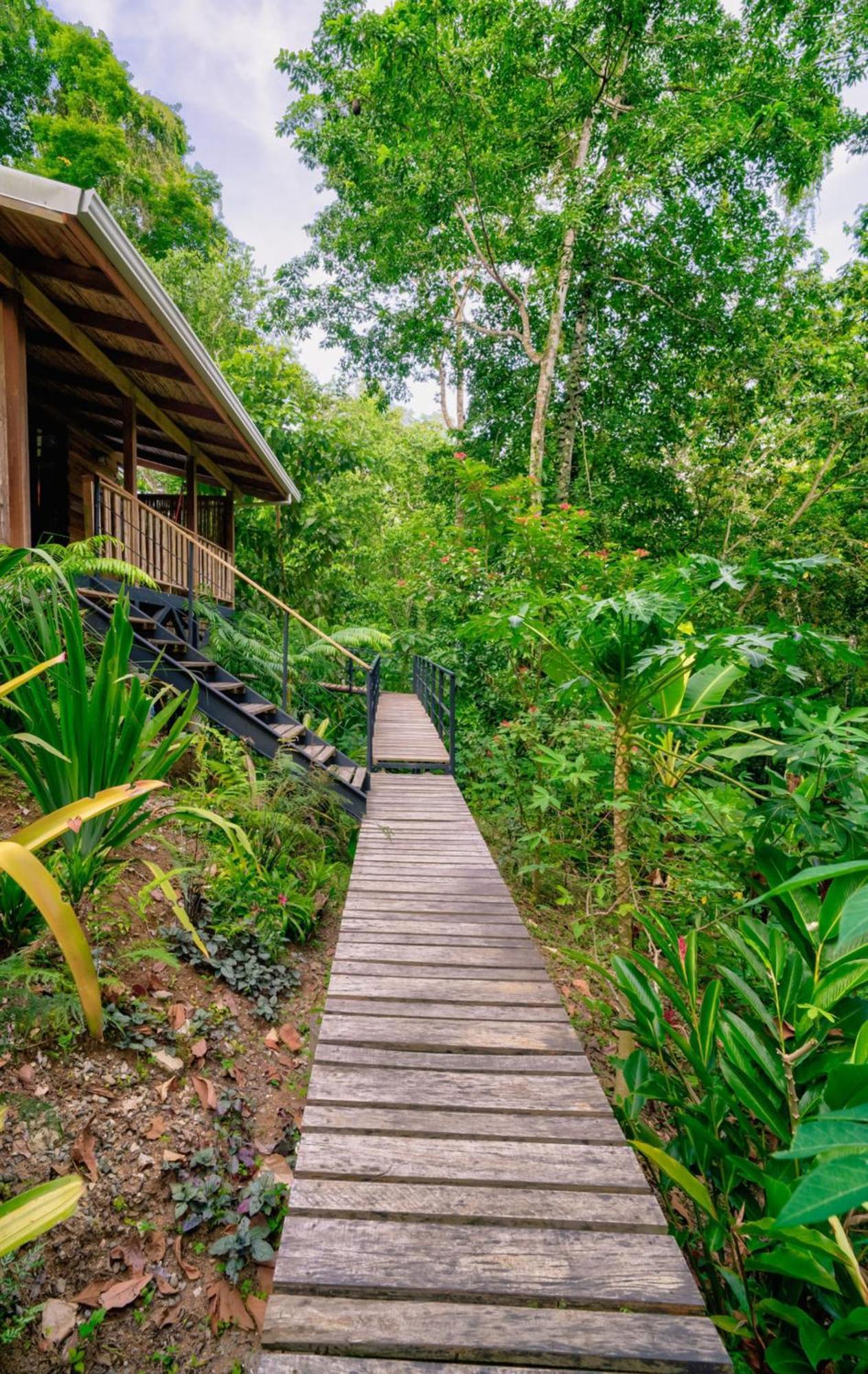 La Shamana - Ecological Concept In Jungle Villa Cahuita Exterior photo