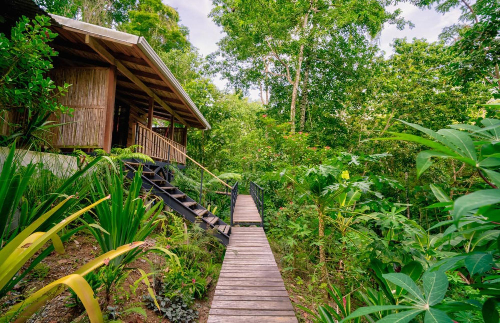 La Shamana - Ecological Concept In Jungle Villa Cahuita Room photo