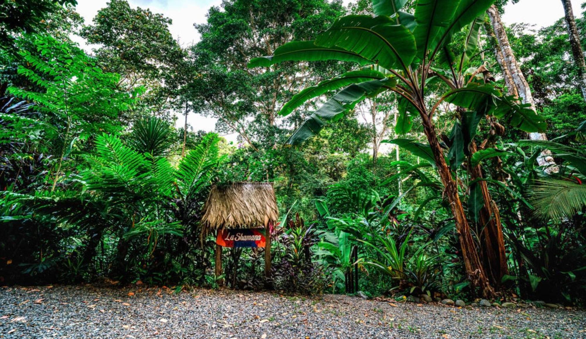 La Shamana - Ecological Concept In Jungle Villa Cahuita Exterior photo