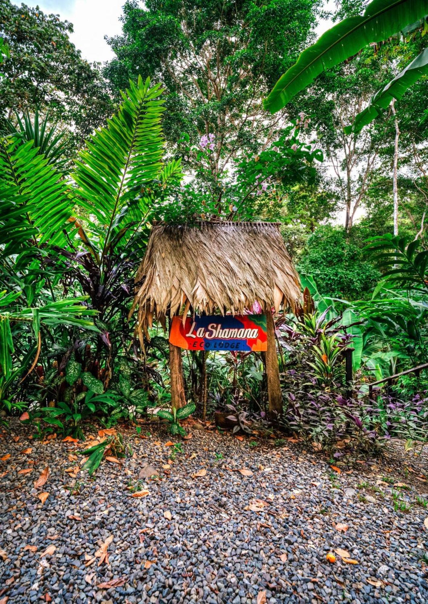 La Shamana - Ecological Concept In Jungle Villa Cahuita Exterior photo