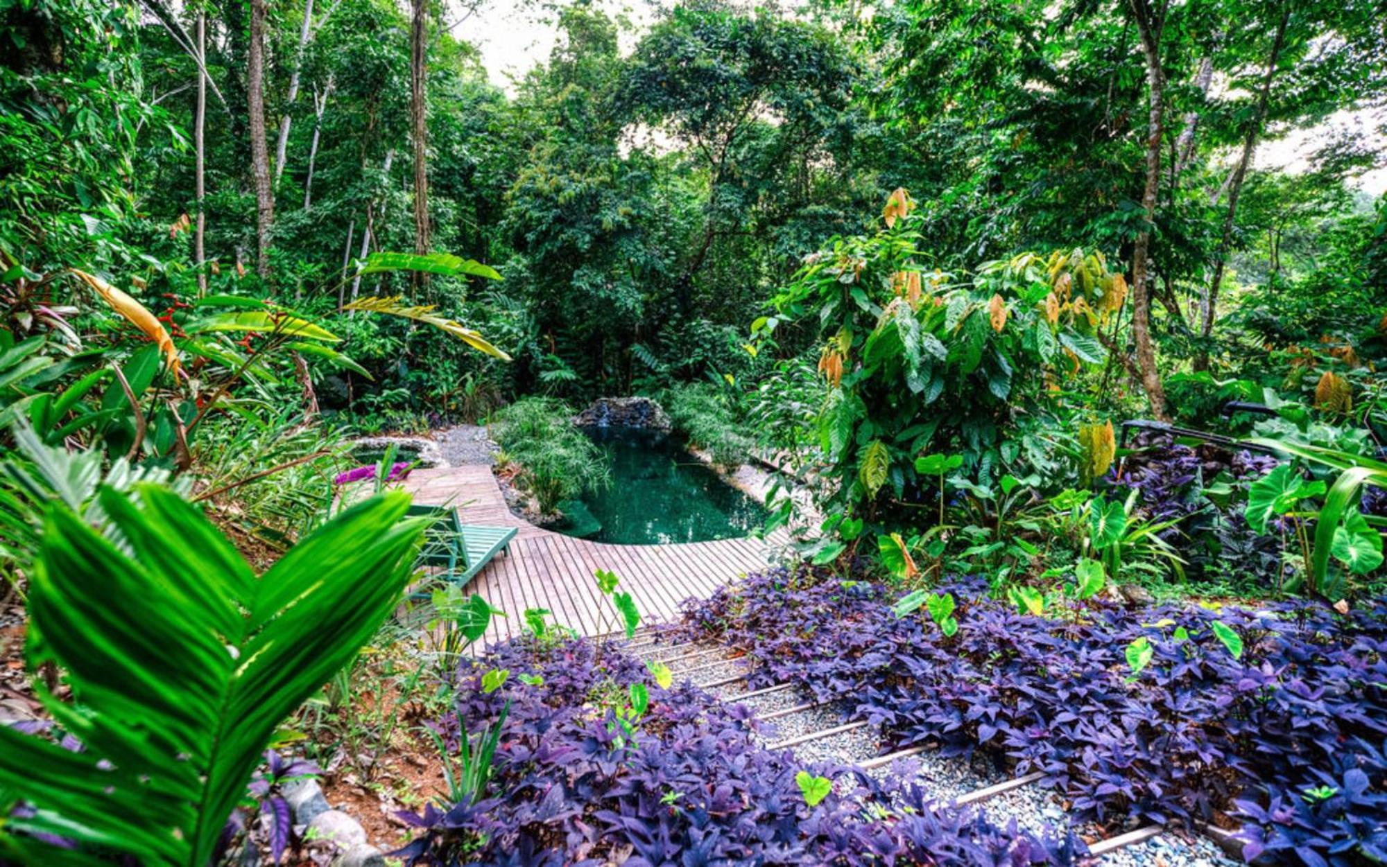 La Shamana - Ecological Concept In Jungle Villa Cahuita Exterior photo